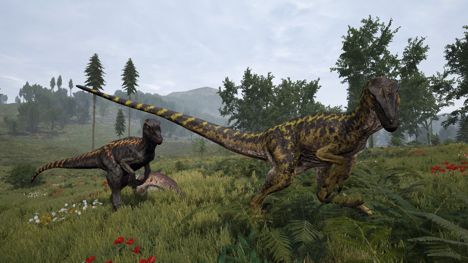 Raptor pack